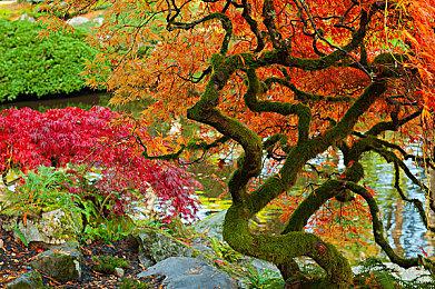 别着急《大侦探皮卡丘》续作仍然还在开发当中