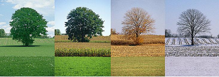 《武士零》免费DLC预告片发布 开发“接近完成”